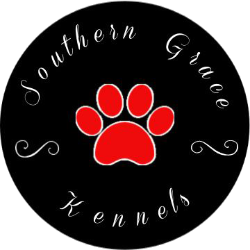 Southern Grace Kennels | Cavalier King Charles Spaniels For Sale